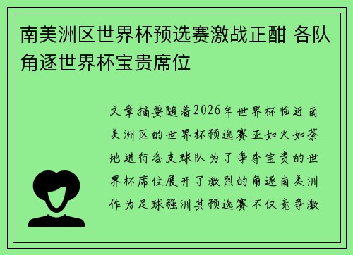 南美洲区世界杯预选赛激战正酣 各队角逐世界杯宝贵席位